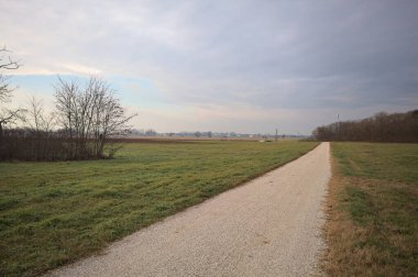 İtalya 'nın kışın kırsalında bulutlu ve sisli bir günde tarlaların arasından geçen bir koruluğun arkasından ufka doğru uzanan çakıl izleri.