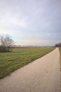 İtalya 'nın kışın kırsalında bulutlu ve sisli bir günde tarlaların arasından geçen bir koruluğun arkasından ufka doğru uzanan çakıl izleri.