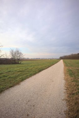 İtalya 'nın kışın kırsalında bulutlu ve sisli bir günde tarlaların arasından geçen bir koruluğun arkasından ufka doğru uzanan çakıl izleri.