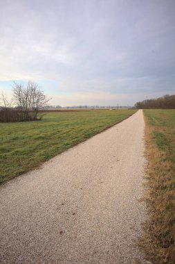 İtalya 'nın kışın kırsalında bulutlu ve sisli bir günde tarlaların arasından geçen bir koruluğun arkasından ufka doğru uzanan çakıl izleri.