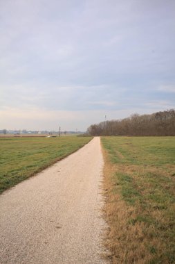 İtalya 'nın kışın kırsalında bulutlu ve sisli bir günde tarlaların arasından geçen bir koruluğun arkasından ufka doğru uzanan çakıl izleri.