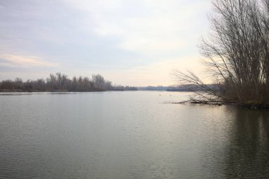 İtalya kırsalında bulutlu bir günde, ormanın çıplak ağaçlarıyla çevrili bir nehir.
