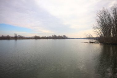 İtalya kırsalında bulutlu bir günde, ormanın çıplak ağaçlarıyla çevrili bir nehir.