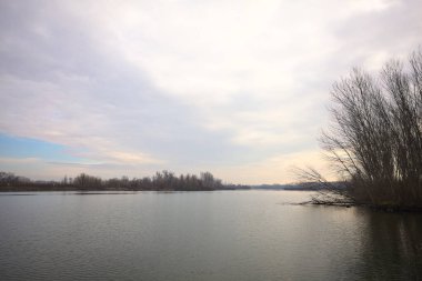 İtalya kırsalında bulutlu bir günde, ormanın çıplak ağaçlarıyla çevrili bir nehir.