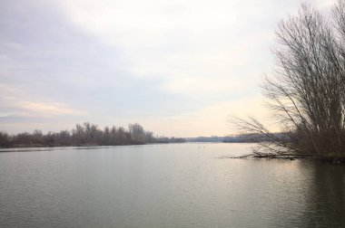 İtalya kırsalında bulutlu bir günde, ormanın çıplak ağaçlarıyla çevrili bir nehir.