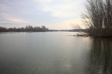 İtalya kırsalında bulutlu bir günde, ormanın çıplak ağaçlarıyla çevrili bir nehir.