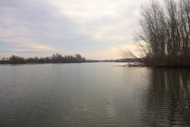 İtalya kırsalında bulutlu bir günde, ormanın çıplak ağaçlarıyla çevrili bir nehir.