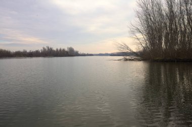 İtalya kırsalında bulutlu bir günde, ormanın çıplak ağaçlarıyla çevrili bir nehir.