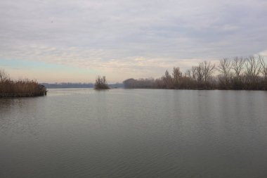 İtalya kırsalında bulutlu bir günde, ormanın çıplak ağaçlarıyla çevrili bir nehir.