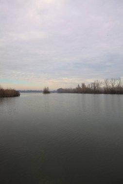 İtalya kırsalında bulutlu bir günde, ormanın çıplak ağaçlarıyla çevrili bir nehir.
