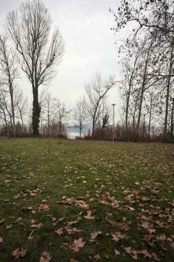 Kuru sazlıklar ve kışın bulutlu bir günde kıyıdaki çıplak ağaçlar tarafından çerçevelenmiş göl, sudaki gökyüzü ve uzaklıktaki zıt kıyılar