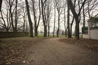 İtalya 'da bulutlu bir günde, bir parkta, bir sıra kavak ağacı ve tuğla duvar arasında ve bir binanın kenarında göl kıyısı olan patika.