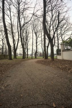 İtalya 'da bulutlu bir günde, bir parkta, bir sıra kavak ağacı ve tuğla duvar arasında ve bir binanın kenarında göl kıyısı olan patika.