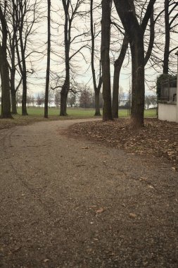 İtalya 'da bulutlu bir günde, bir parkta, bir sıra kavak ağacı ve tuğla duvar arasında ve bir binanın kenarında göl kıyısı olan patika.