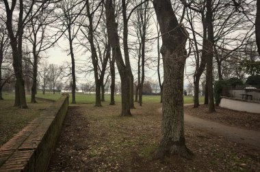 İtalya 'da bulutlu bir günde, bir parkta, bir sıra kavak ağacı ve tuğla duvar arasında ve bir binanın kenarında göl kıyısı olan patika.