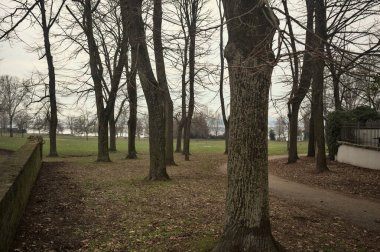 İtalya 'da bulutlu bir günde, bir parkta, bir sıra kavak ağacı ve tuğla duvar arasında ve bir binanın kenarında göl kıyısı olan patika.