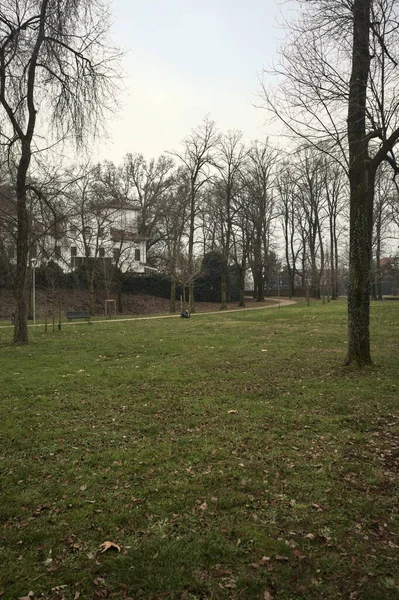 Kışın bulutlu bir günde, İtalya 'nın bir kasabasında ağaçlarla çevrili bir binanın yanındaki kavak ağaçlarıyla çevrili bir patikaya tırmanmak.