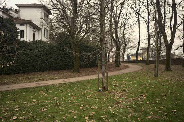 Kışın bulutlu bir günde, İtalya 'nın bir kasabasında ağaçlarla çevrili bir binanın yanındaki kavak ağaçlarıyla çevrili bir patikaya tırmanmak.