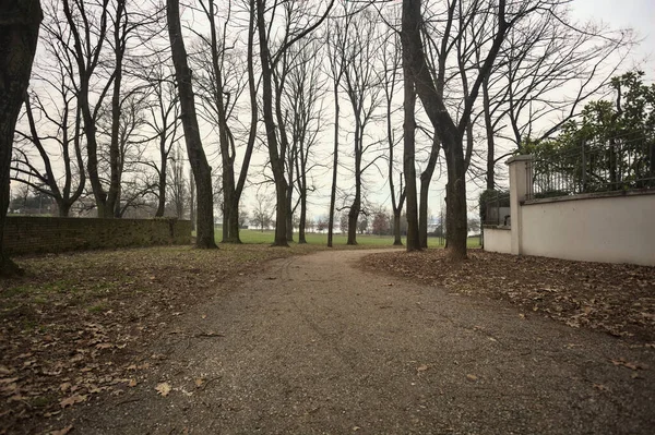 İtalya 'da bulutlu bir günde, bir parkta, bir sıra kavak ağacı ve tuğla duvar arasında ve bir binanın kenarında göl kıyısı olan patika.