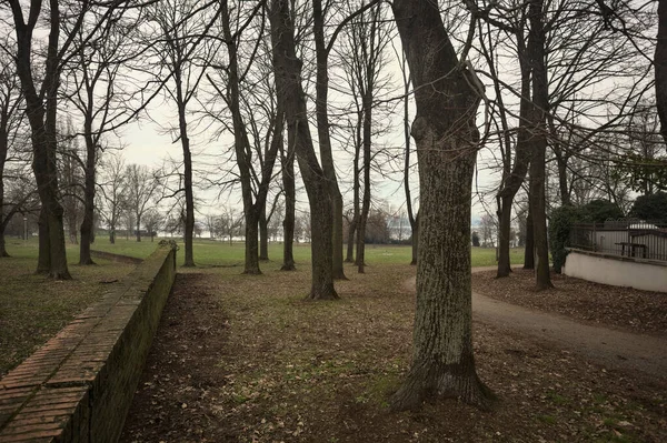 İtalya 'da bulutlu bir günde, bir parkta, bir sıra kavak ağacı ve tuğla duvar arasında ve bir binanın kenarında göl kıyısı olan patika.