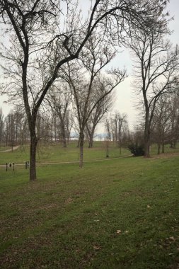 İtalya 'da bulutlu bir günde, göl kıyısına giden bir parkta uzanan patikalar.