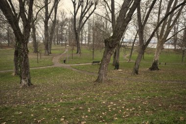 İtalya 'da bulutlu bir günde, üzerinde ağaçlar ve yapraklar olan bir parkta asfalt patikalar arasında yol ayrımı.