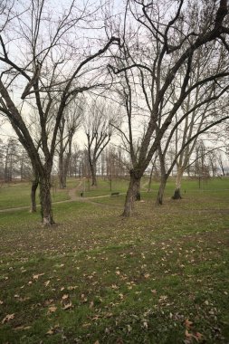 İtalya 'da bulutlu bir günde, üzerinde ağaçlar ve yapraklar olan bir parkta asfalt patikalar arasında yol ayrımı.