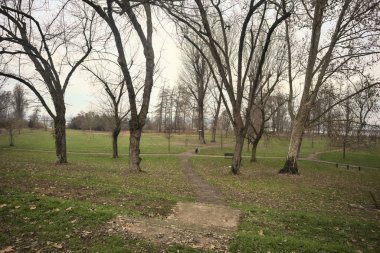 İtalya 'da bulutlu bir günde, üzerinde ağaçlar ve yapraklar olan bir parkta asfalt patikalar arasında yol ayrımı.