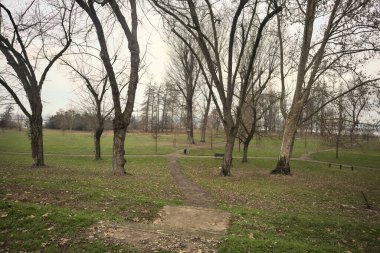 İtalya 'da bulutlu bir günde, üzerinde ağaçlar ve yapraklar olan bir parkta asfalt patikalar arasında yol ayrımı.