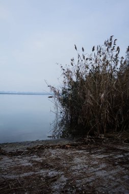 Sisli ve bulutlu bir günde sazlıklar ve bir ağaç arasında kayarak, karşı kıyıda bitki örtüsü tarafından çerçevelenmiş, İtalya kırsalında