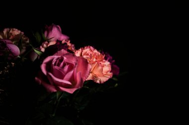 Turuncu karanfil buketi, pembe ve mor güller, bir projektörün altında, koyu bir arka planda, yakından görülüyor.