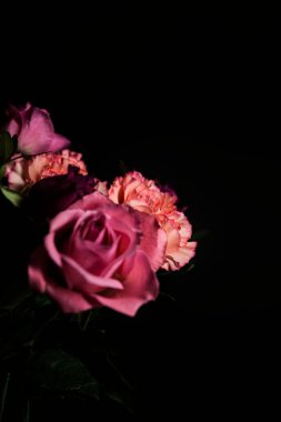 Turuncu karanfil buketi, pembe ve mor güller, bir projektörün altında, koyu bir arka planda, yakından görülüyor.