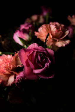 Turuncu karanfil buketi, pembe ve mor güller, bir projektörün altında, koyu bir arka planda, yakından görülüyor.