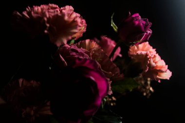 Turuncu karanfil buketi, pembe ve mor güller, bir projektörün altında, koyu bir arka planda, yakından görülüyor.