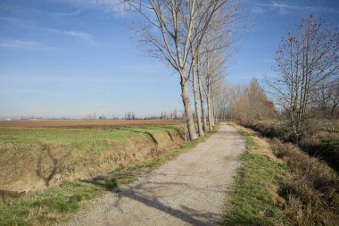 İtalya kırsalında güneşli bir günde, bir hendek ve birkaç çıplak ağaçla çevrili, uzak bir dağ sırtı olan ekili bir tarlanın yanındaki patikada.