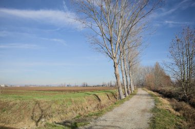 İtalya kırsalında güneşli bir günde, bir hendek ve birkaç çıplak ağaçla çevrili, uzak bir dağ sırtı olan ekili bir tarlanın yanındaki patikada.