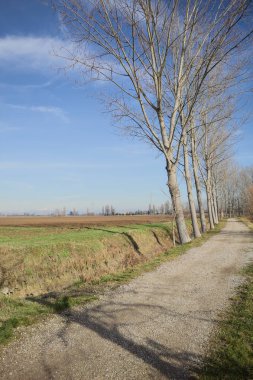 İtalya kırsalında güneşli bir günde, bir hendek ve birkaç çıplak ağaçla çevrili, uzak bir dağ sırtı olan ekili bir tarlanın yanındaki patikada.