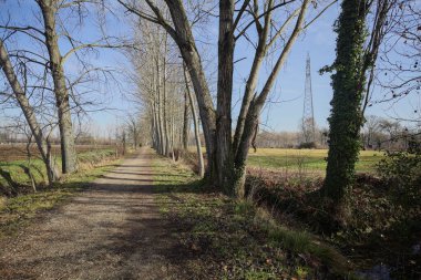 İtalya kırsalında güneşli bir günde, bir tarlanın yanındaki ağaçlarla çevrili, çıplak ağaçlarla ve bir hendekle çevrili patika.