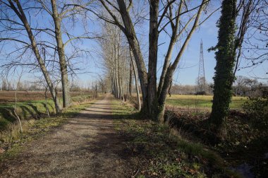 İtalya kırsalında güneşli bir günde, bir tarlanın yanındaki ağaçlarla çevrili, çıplak ağaçlarla ve bir hendekle çevrili patika.