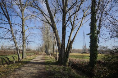 İtalya kırsalında güneşli bir günde, bir tarlanın yanındaki ağaçlarla çevrili, çıplak ağaçlarla ve bir hendekle çevrili patika.