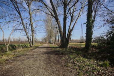 İtalya kırsalında güneşli bir günde, bir tarlanın yanındaki ağaçlarla çevrili, çıplak ağaçlarla ve bir hendekle çevrili patika.
