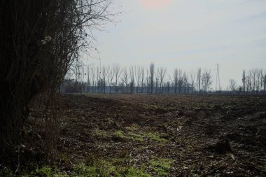 İtalya 'nın kırsal kesimlerinde sürgülü tarlalar. Uzakta çıplak ağaçlar var. Güneş ışığı altında.