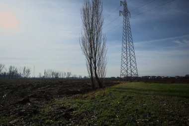 İtalya 'nın kırsal kesimlerinde güneşli bir günde bir sıra kavak ağacındaki bir açıklıkla çerçevelenmiş ve çimenlikten görülen elektrik direği.