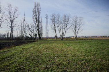 İtalya 'nın kırsal kesimlerinde güneşli bir günde bir sıra kavak ağacındaki bir açıklıkla çerçevelenmiş ve çimenlikten görülen elektrik direği.