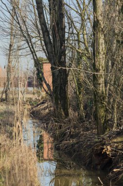 Su dolu hendek ağaçlarla çevrili, bir kapı ve ağaçların kendileri İtalya 'nın kırsal kesimlerinde suya dökülmüş.