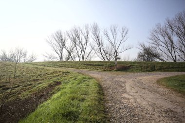 Toprak bir yolda çatal, setin üzerinde, ağaçlarla, güneşli bir günde İtalya 'nın kırsalında