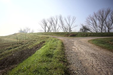 Toprak bir yolda çatal, setin üzerinde, ağaçlarla, güneşli bir günde İtalya 'nın kırsalında