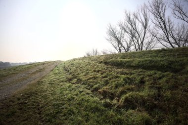Ağaçlarla çevrili bir toprak yol, altında sürgülü bir tarla, ufuk çizgisine kadar uzanan, sisle kaplı, İtalya kırsalında