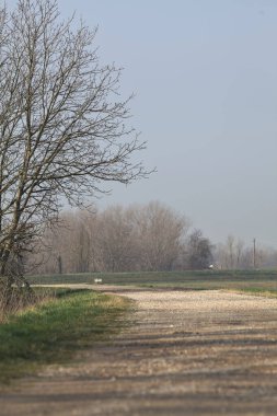 Bir tarafta çıplak ağaçlarla çevrili çamurlu bir set ve İtalya kırsalında güneşli bir günde yamaçlarda uzanan eğimli bir arazi.