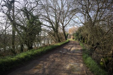 Su birikintileri olan kirli bir yol, ve üzerinde kavis çizen ağaçlar, bir nehrin yanında, güneşli bir günde, İtalya 'nın kırsalında